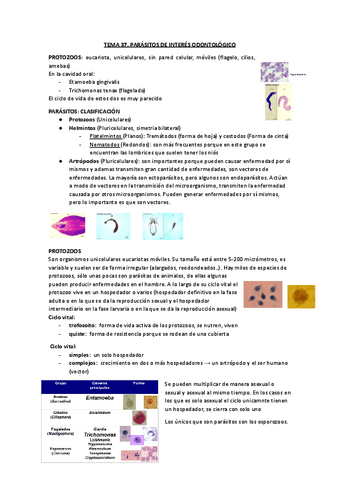 Copia-de-TEMA-37.-Parasitos-de-interes-odontologico-INMA.docx-copia.pdf