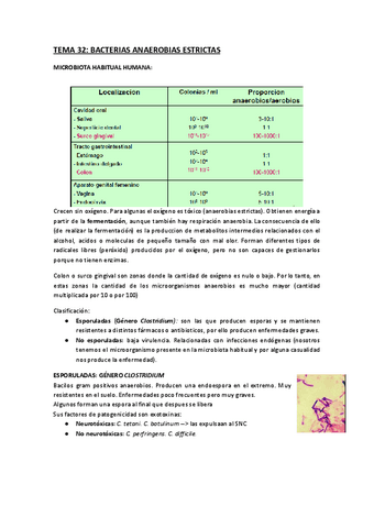 Copia-de-TEMA-32.-BACTERIAS-ANAEROBIAS-ESTRICTAS.docx.pdf