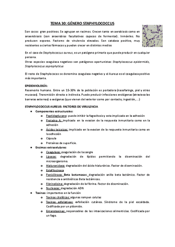 Copia-de-TEMA-30.-GENERO-STAPHYLOCOCCUS.docx.pdf