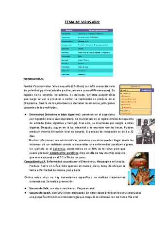 Copia-de-TEMA-26.-VIRUS-ARN.docx.pdf