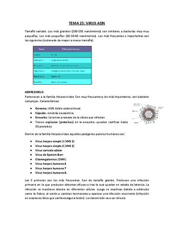 Copia-de-TEMA-25.-VIRUS-ADN.docx.pdf