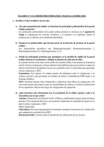 EXAMEN-1er-CUATRIMESTRE-FISIOLOGIA-VEGETAL-RESUELTO.pdf
