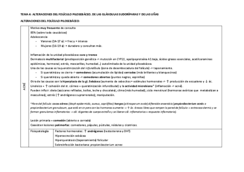 TEMA-4.pdf