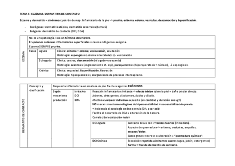 TEMA-5.pdf