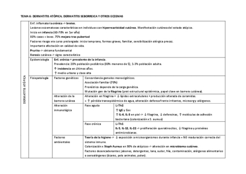 TEMA-6.pdf