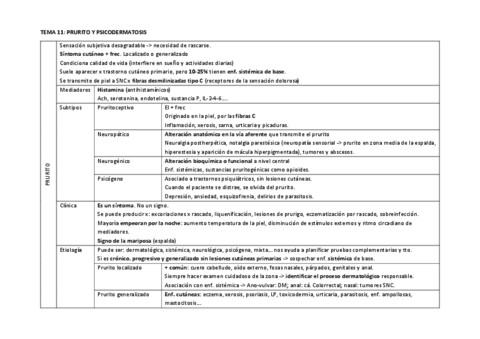 TEMA-11.pdf