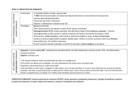 TEMA-12.pdf