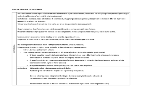TEMA-13.pdf