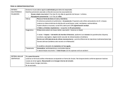 TEMA-14.pdf