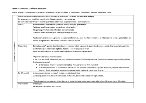 TEMA-15.pdf