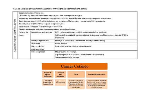 TEMA-16.pdf