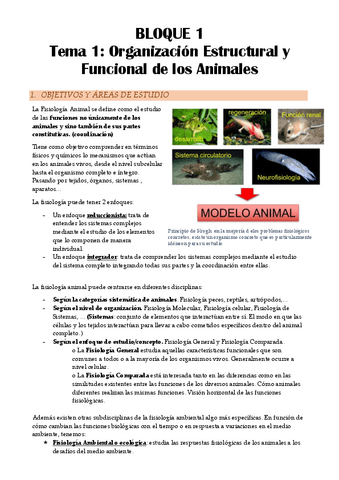 Apuntes-clase-FA.pdf