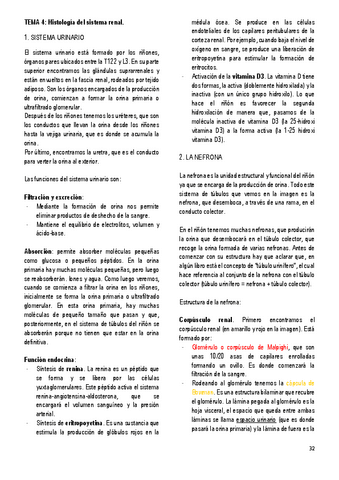 4.-HISTOLOGIA-DEL-SISTEMA-RENAL.pdf