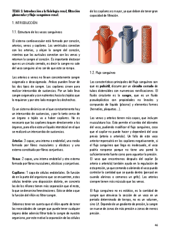 5.-INTRODUCCION-A-LA-FISIOLOGIA-RENAL-FILTRACION-GLOMERULAR-Y-FLUJO-SANGUINEO-RENAL.pdf