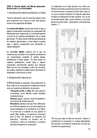 6.-MANEJO-TUBULAR-DEL-FILTRADO-GLOMERULAR..pdf