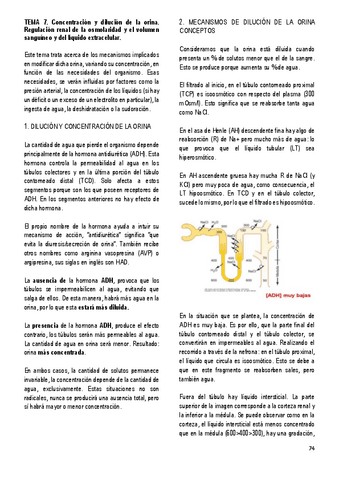 7.-CONCENTRACION-Y-DILUCION-DE-LA-ORINA.pdf