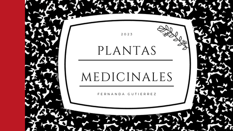Plantas-Medicinales.pdf
