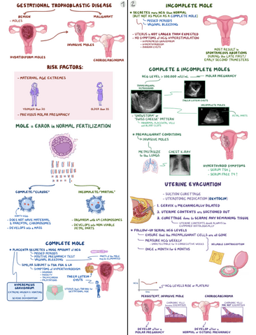 Gestational-Trophoblastic-Disease-Clinical-Reasoning.pdf