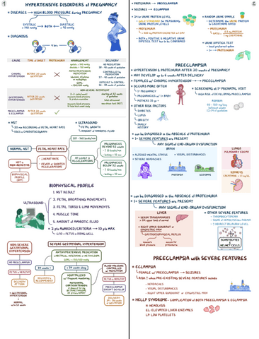 Hypertensive-Disorders-Of-Pregnancy-Clinical-Reasoning.pdf