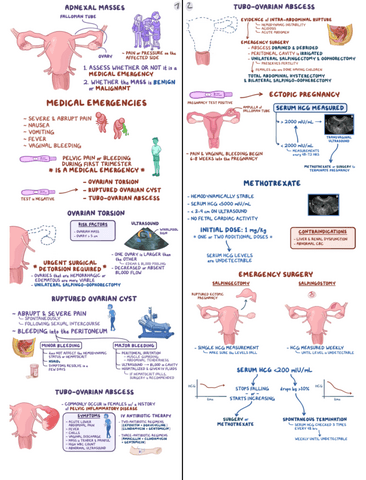 Ovarian-Cysts-Cancer-and-Other-Adnexal-Masses-Clinical-Reasoning.pdf