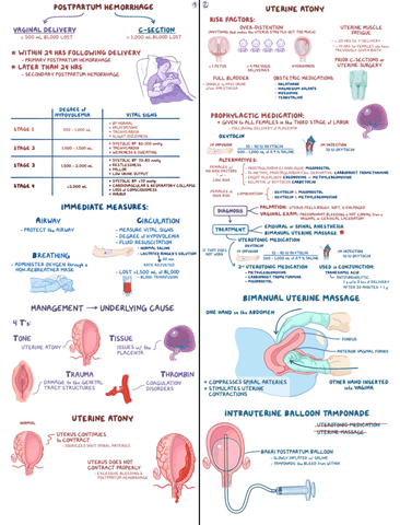 Postpartum-Hemorrhage-Clinical-Reasoning.pdf