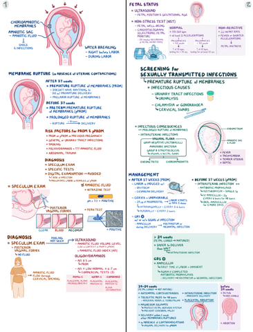 Premature-Rupture-Of-Membranes-Clinical-Reasoning.pdf