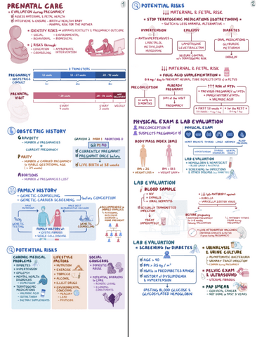 Routine-Prenatal-Care-Clinical-Reasoning.pdf