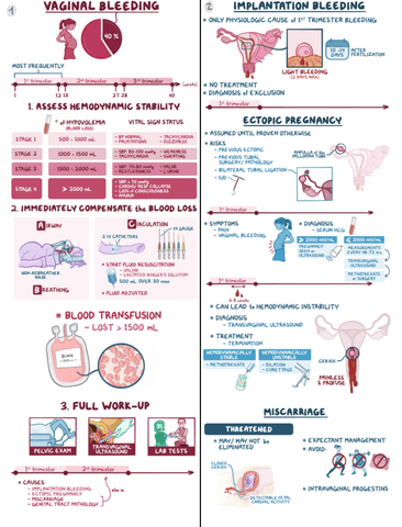 Vaginal-Bleeding-During-Pregnancy-Clinical-Reasoning.pdf