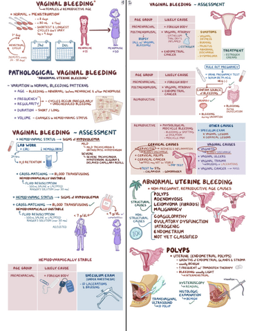 Vaginal-Bleeding-Clinical-Reasoning.pdf