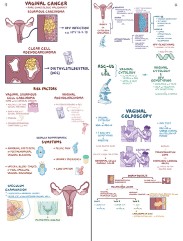 Vaginal-Cancer-Clinical-Reasoning.pdf