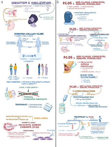 Virilization-Clinical-Reasoning.pdf