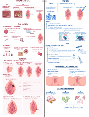 Vulvar-Cancer-Clinical-Reasoning.pdf