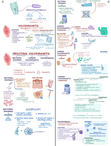 Vulvovaginitis-Clinical-Reasoning.pdf