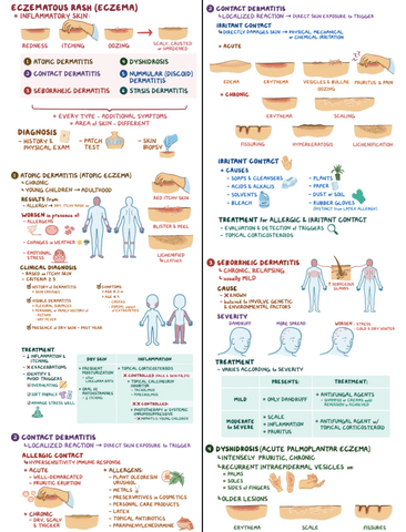 Eczematous-Rash-Clinical-Reasoning.pdf