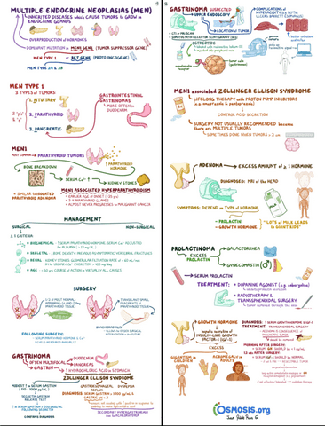 MEN-Syndrome-Clinical-Reasoning.pdf