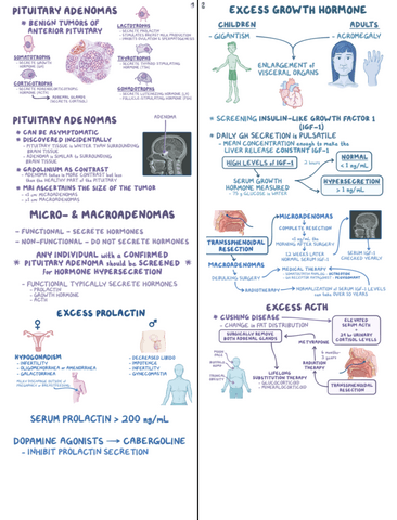 Pituitary-Adenomas-Clinical-Reasoning.pdf