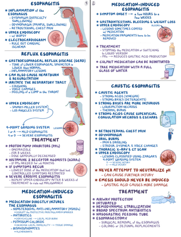 Esophagitis-Clinical-Reasoning.pdf