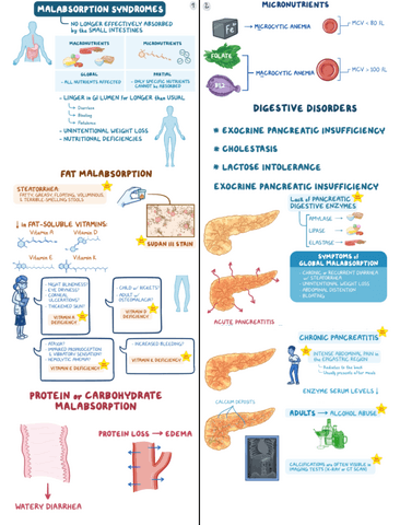 High-Yield-Malabsorption.pdf