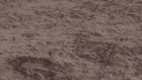 Practica-2.-Videopoema-27-abr-2021-1037.MOV