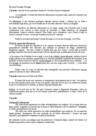 Informacion-Memoria-Es-Carnatge-Geo.pdf