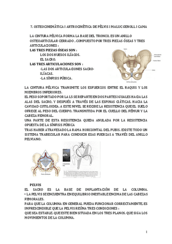 7.OSTEOCINEMATICA-I-ARTROCINETICA-DE-PELVIS-I-MALUC-GENOLL-I-CAMA.pdf