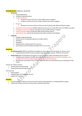 Revision-Bibliografica-Gonadectomia.pdf