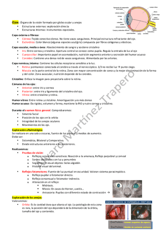 Examen-de-Ojo.pdf