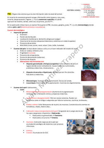Examen-dermatologico.pdf