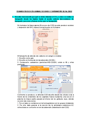 Examen-resuelto-2o-cuatri-FA-2023.pdf