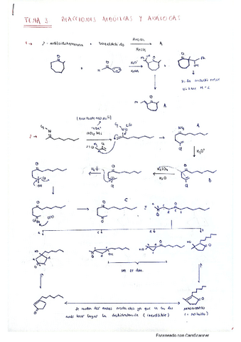 tema-3-problemas.pdf