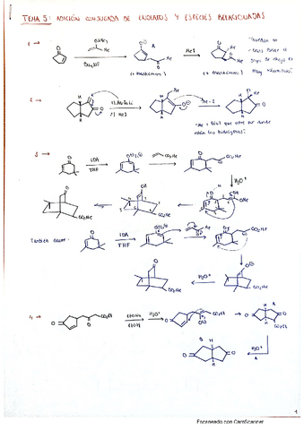 tema-5-problemas.pdf