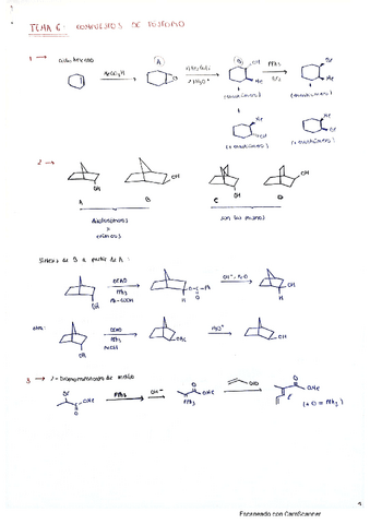 tema-6-problemas.pdf