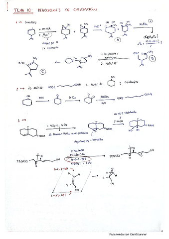 tema-10-problemas.pdf