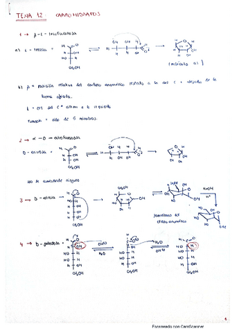 tema-12-problemas.pdf